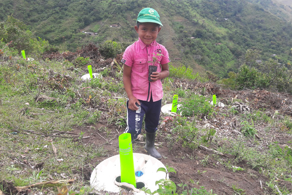 Een van de duurzame projecten in samenwerking met het World Food Programme (Innovation Accelerator) - productieve bomen planten in samenwerking met 200 vrouwen in Colombia